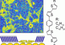 Surface-Enhanced Raman Spectroscopy of 2D Organic Semiconductor Crystals